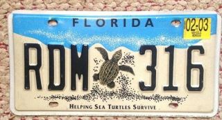Florida Sea Turtles Turtle Marine Wildlife Specialty License Plate Auto Tag Fla