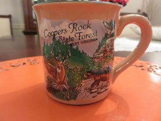 Vtg Coopers Rock State Forest West Virginia 3d Wildlife Souvenir Ceramic Mug Euc