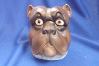 Antique Porcelain Bulldog Figural Humidor/ Tobacco Jar Hand Decorated Fine Shape