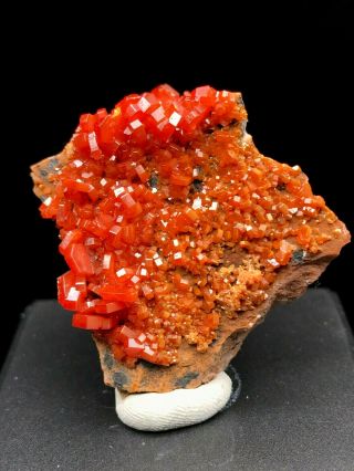 28g Natural Red Vanadinite On Barite Crystal Rare Mineral Specimens Morocco