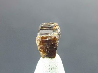 Very Rare Painite Crystal From Asia - 1.  25 Carats