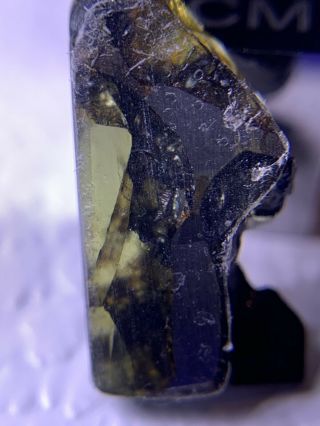 Meteorite Esquel,  Pallasite Pmg 1.  00 Grams Rare