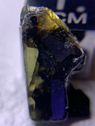 Meteorite Esquel,  Pallasite PMG 1.  00 Grams Rare 3