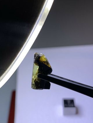 Meteorite Esquel,  Pallasite PMG 1.  00 Grams Rare 6