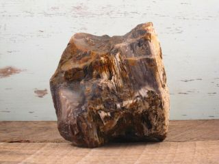Yb Natural Rough Petrified Opalized Wood Fossil Oregon 2lbs 6oz {d34ab}