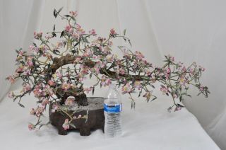 Large Chinese Jade Cherry Blossoms 33 " Tree Quartz Agate Stone Bonsai Planter