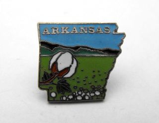 Vintage Arkansas Apple Blossom State Colorful Enamel Hat Lapel Pin Tie Tack