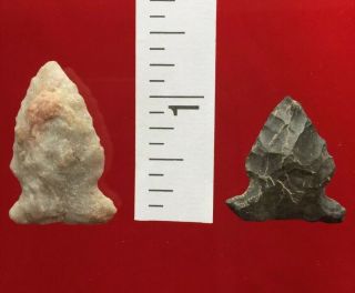 Authentic Indian Artifacts Arrowheads Hardy Co.  Wv West Virginia 1 1/4,  1 Inch