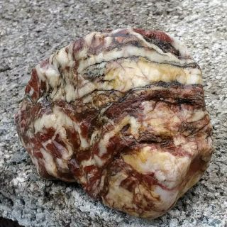 Colorful Rough Display Specimen Piece Of Red & White Petrified Wood 1 Lb Oregon
