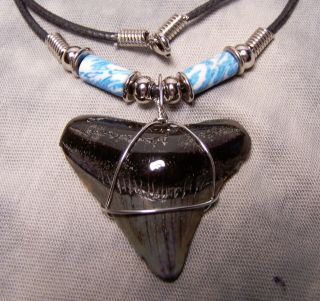 Megalodon Shark Tooth Necklace 1 9/16 " Fossil Teeth Fishing Scuba Dive Meg Tooth