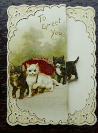 H Maguire Pretty Victorian Christmas Card Anthropomorphic Cats With Parasol Emb