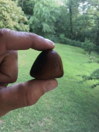 Cone Native American Artifact Green County Arkansas Arrowhead