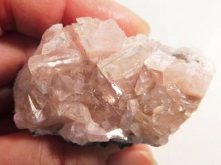 Lustrous Pink Smithsonite Cluster,  Tsumeb Mine,  Namibia,  4.  5 x 2.  5 x 2.  5 cm 5