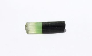 Tourmaline Tri Color Pencil 2.  97 Ct Green Black Facet Rough Crystal Stone 176a