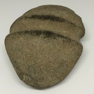 Early Native American Indian Stone Axe/hammer Head,  Fully Grooved,  Frederick Md