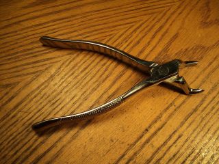 Vintage Sklar Stainless Dental Extractor Pliers Tool No.  53 L 7 - 5/8 " Usa.