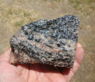 1 Lb.  1.  4 Oz.  Morton Gneiss,  Oldest Rock In The Usa,  3.  5 Billion Years