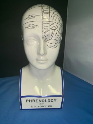 Vintage Porcelain Phrenology Head Bust 12 " High L.  N.  Fowler Psychology