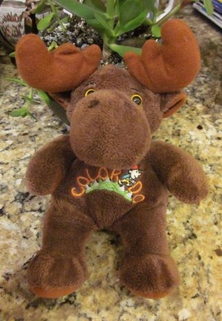 Collectible Colorado Brown Moose Soft Plush Beanie Souvenir 9 " Stuffed Animal