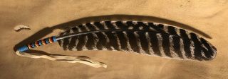 Neat Colored Native American Lakota Sioux Beaded Turkey Wing Feather 2