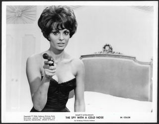 Exotic Mod Sexy Pin - Up Daliah Lavi Spy With A Cold Nose Vintage 1966 Photograph