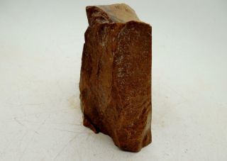 5 Lb Petrified Wood Stand Up Rough R5 Lapidary Rock Oregon Cabbing 2