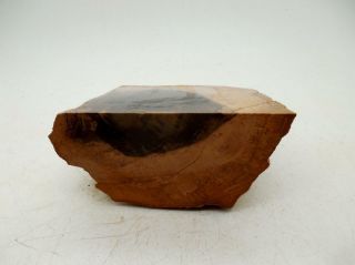 5 Lb Petrified Wood Stand Up Rough R5 Lapidary Rock Oregon Cabbing 5