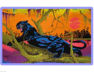Black Light Jungle Cat Panther 70 