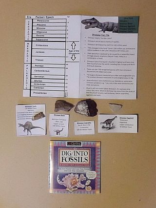 Dinosaur Fossil Pack Set Inc Spinosaur Tooth,  Bone,  Eggshell,  Coprolite & Book