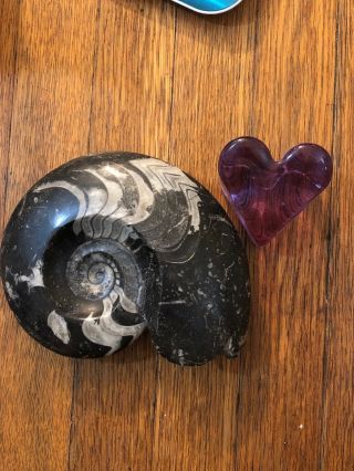 Decorative Polished Fossil Rock With Purple Heart Paperweight.