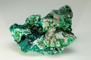 Fine Mineral Specimen - Dioptase With Chrysocolla Casts After Calcite - Congo