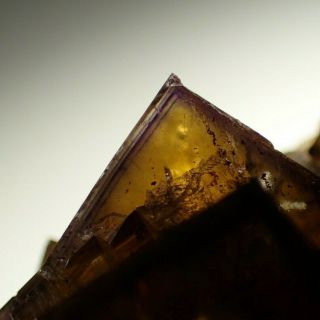 Fluorite Golden - Yellow Zoned Crystals Frohnau,  Germany