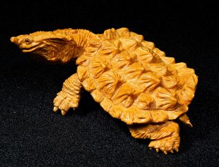Tl048 - 12x7x4.  7 Cm Hand Carved Boxwood Carving : Stunning Matamata Turtle