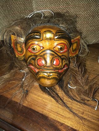 Balinese Bangkol Pig Mask Topeng Hand Carved Wood Bali Wall Art Indonesian 2
