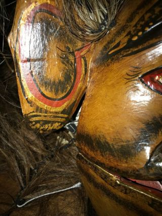 Balinese Bangkol Pig Mask Topeng Hand Carved Wood Bali Wall Art Indonesian 5