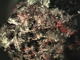 Krasheninnikovite Rare Mineral Micromount From Russia