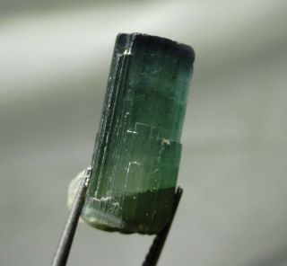 7.  4 Carat Green Tourmaline Crystal - Elbaite - Espirus Santos Mine,  Brazil