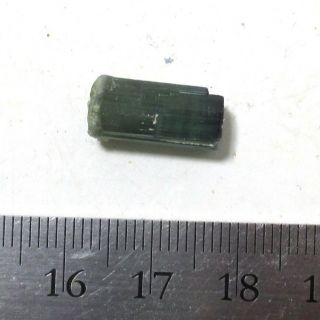 7.  4 carat green tourmaline crystal - Elbaite - Espirus Santos Mine,  Brazil 2