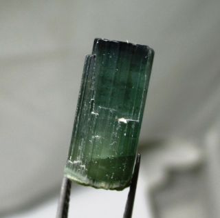 7.  4 carat green tourmaline crystal - Elbaite - Espirus Santos Mine,  Brazil 3