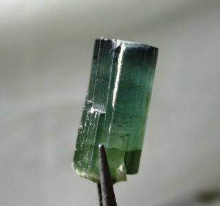 7.  4 carat green tourmaline crystal - Elbaite - Espirus Santos Mine,  Brazil 4