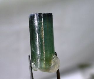 7.  4 carat green tourmaline crystal - Elbaite - Espirus Santos Mine,  Brazil 5