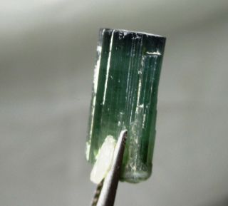 7.  4 carat green tourmaline crystal - Elbaite - Espirus Santos Mine,  Brazil 6