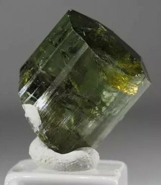 Lusterous Chrome Green Tourmaline Mineral Specimen,  Himalaya Mine,  Cal. ,  U.  S.  A.