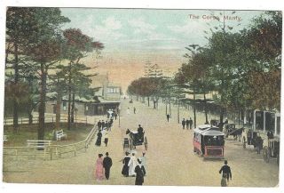 Old Postcard The Corso Manly C.  1900 