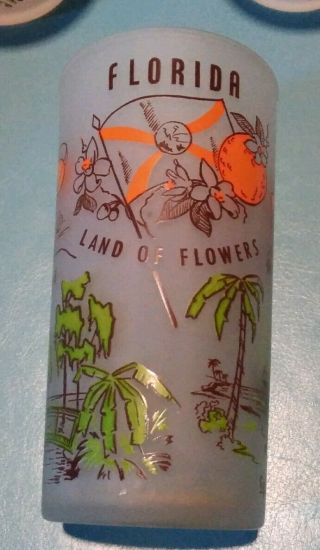 Vintage Frosted Florida Souvenir Glass,  Land Of Flowers