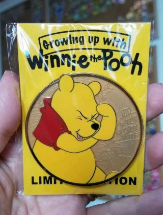 Winnie The Pooh Fantasy Profile Disney Pin Le 35 Pooh 