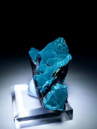 STRIKING - Teal Blue Rosasite crystals on Cuprite matrix,  Ojuela mine Mexico 2