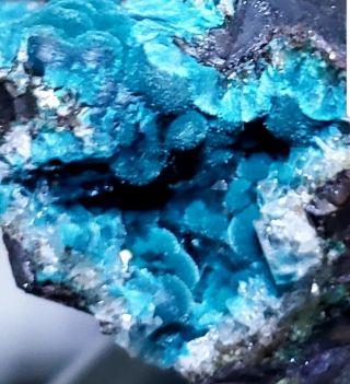 STRIKING - Teal Blue Rosasite crystals on Cuprite matrix,  Ojuela mine Mexico 3