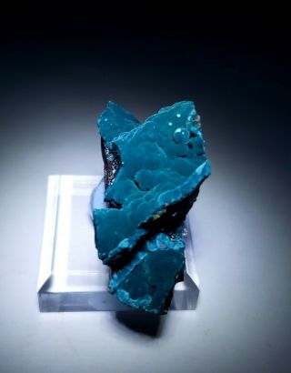 STRIKING - Teal Blue Rosasite crystals on Cuprite matrix,  Ojuela mine Mexico 4