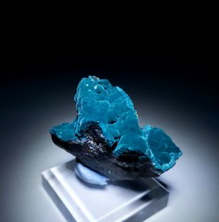 STRIKING - Teal Blue Rosasite crystals on Cuprite matrix,  Ojuela mine Mexico 6
